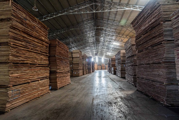 Angkor Plywood Gets Permit for Kandal Plywood Facility